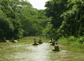barisal